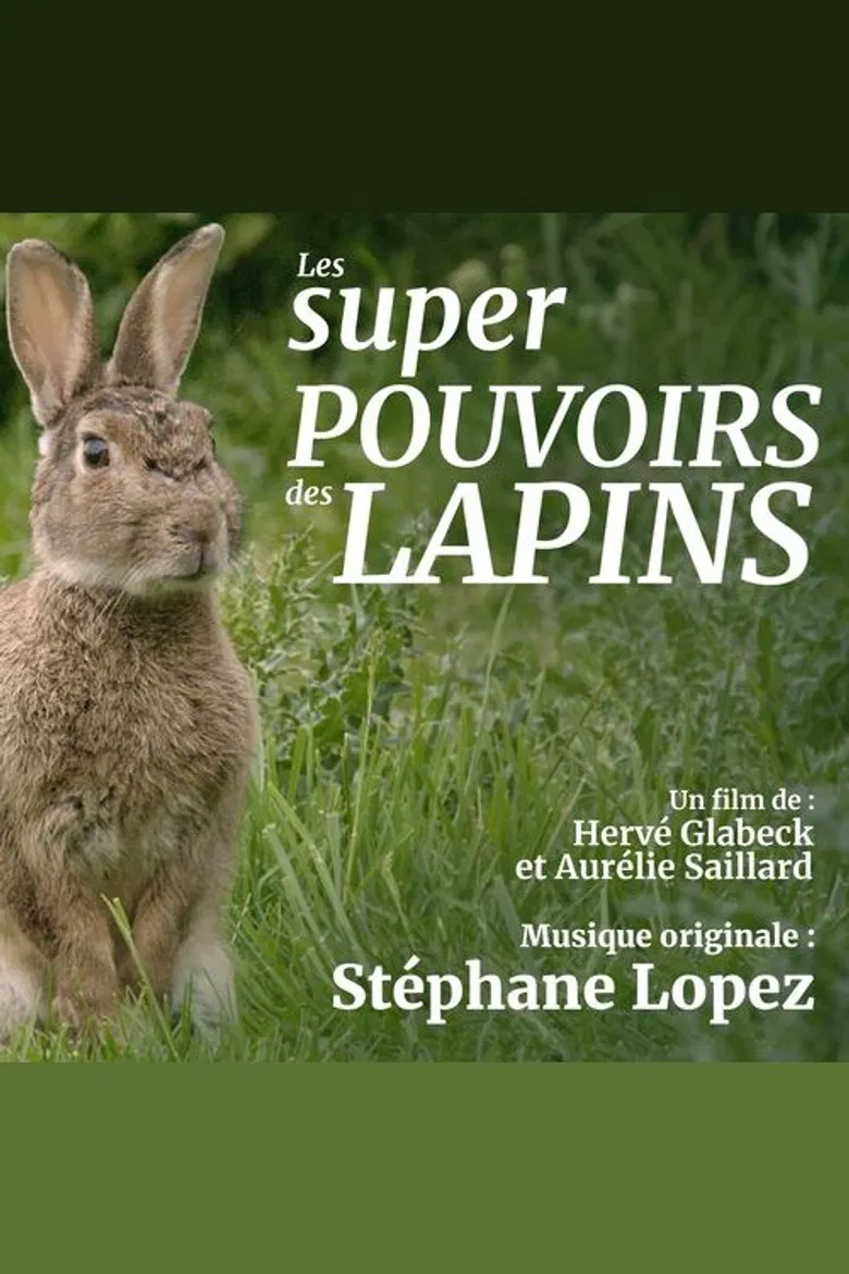 Les super pouvoirs du lapin poster background
