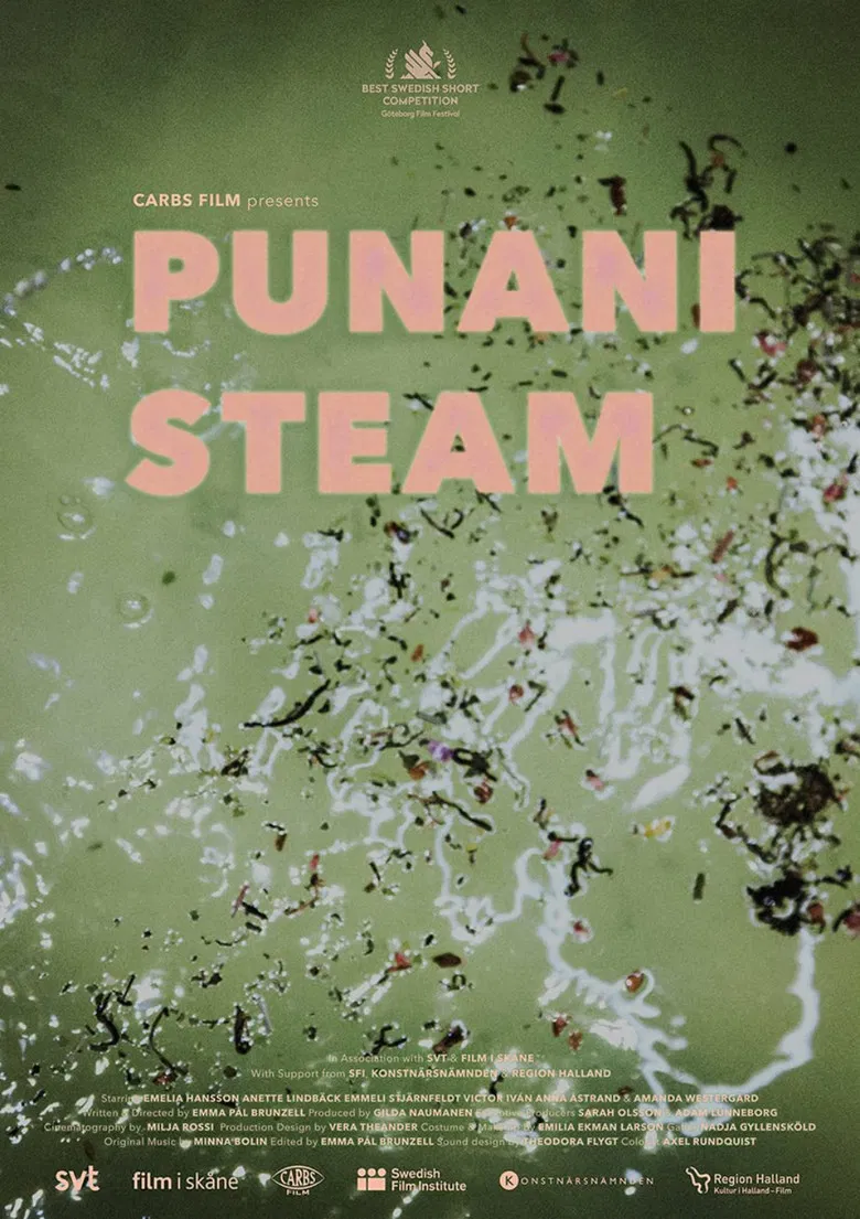 Punani Steam poster background