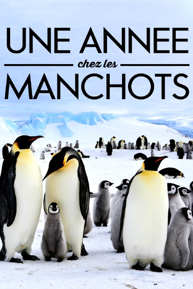 A Year With the Penguins poster background