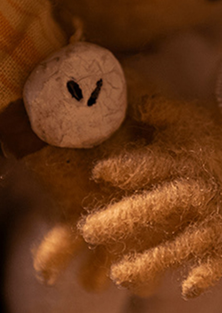 O Elevador poster background