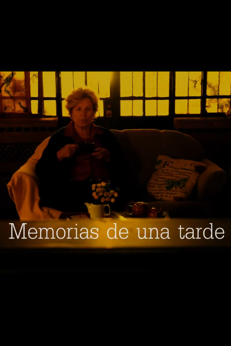 Memorias de una tarde poster background