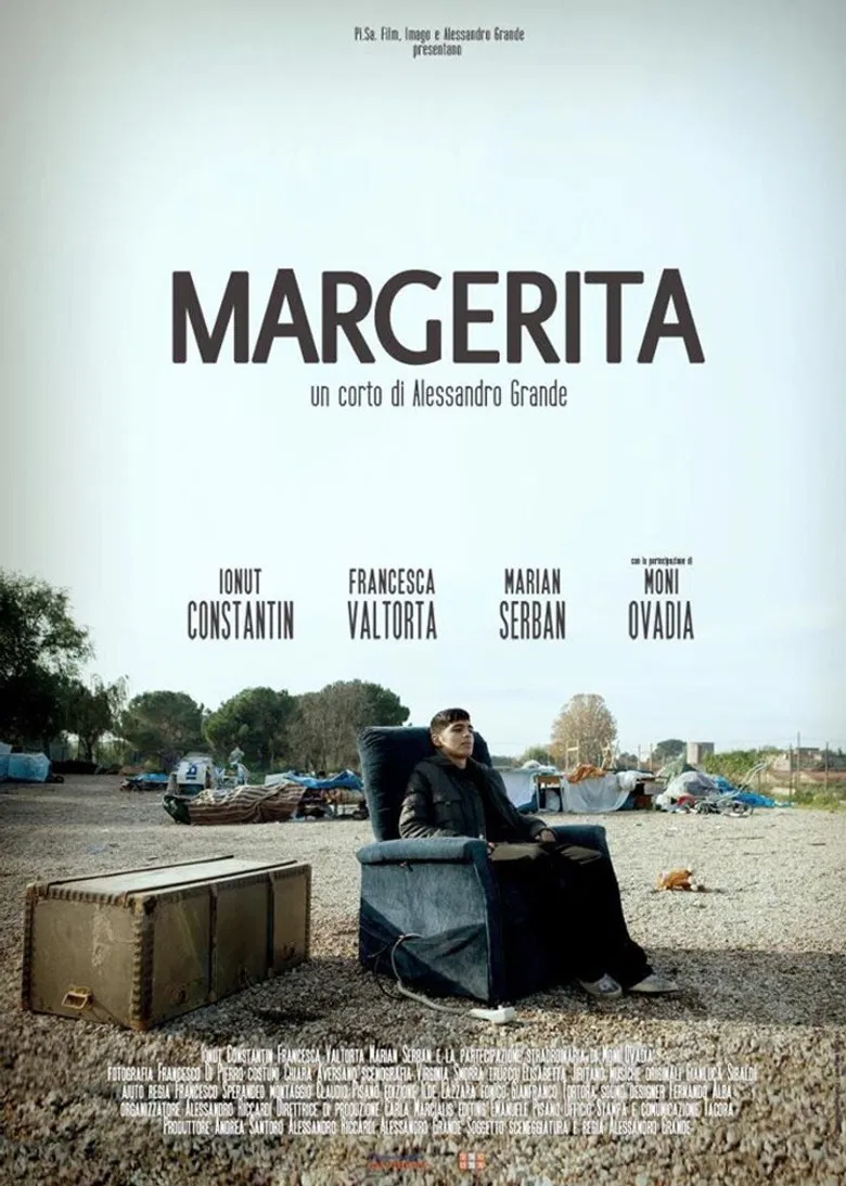 Margerita poster background