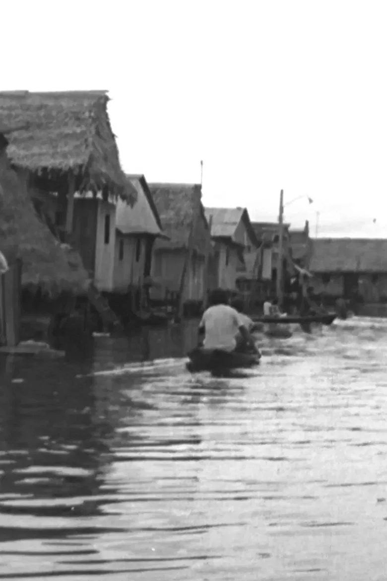 Los pirañas poster background