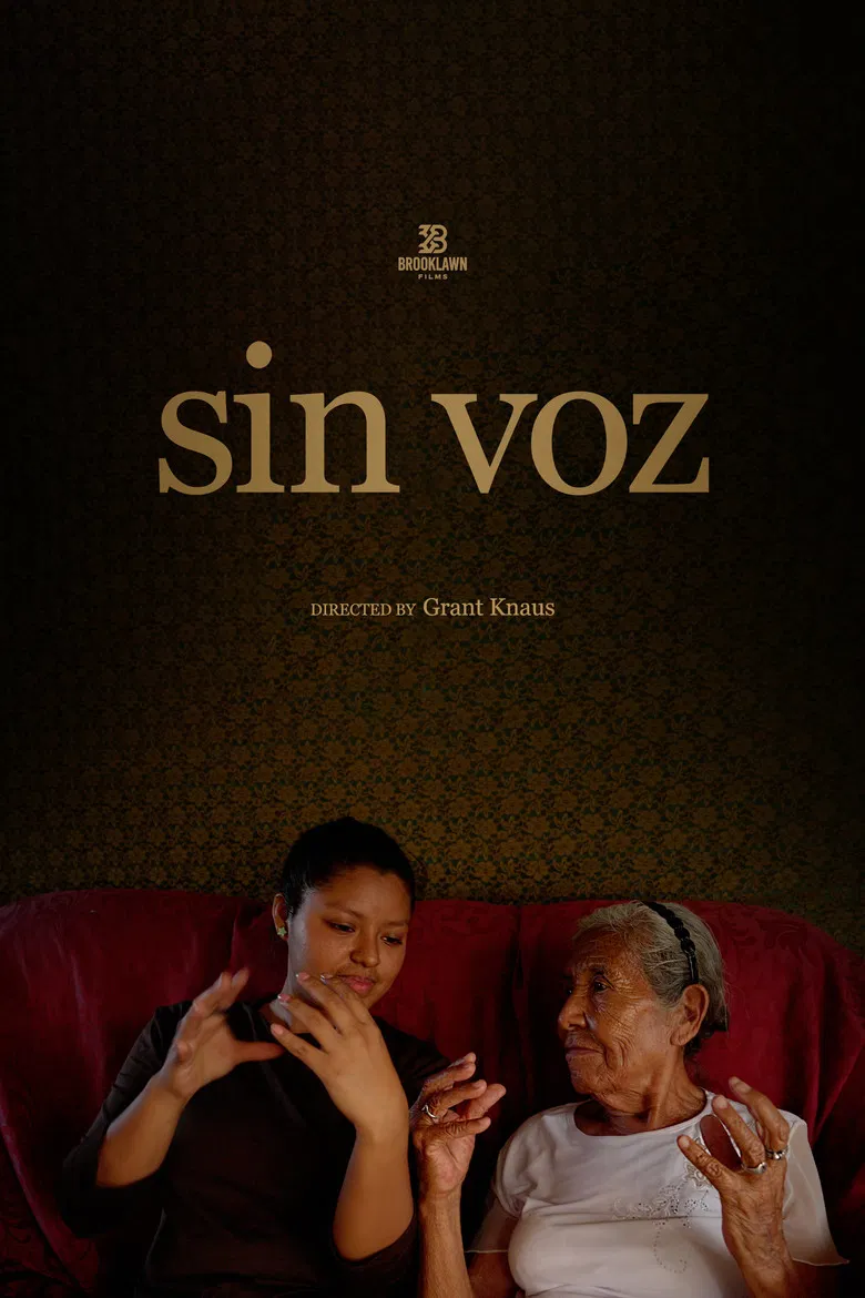 Sin Voz poster background