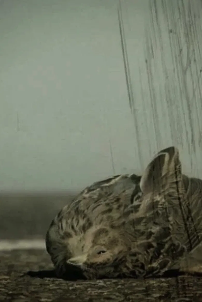 Ángel caído poster background