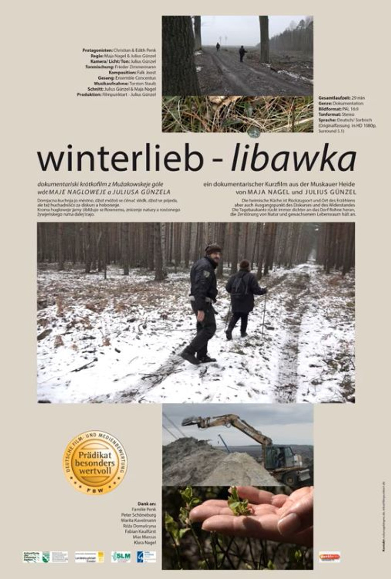 winterlieb - libawka poster background