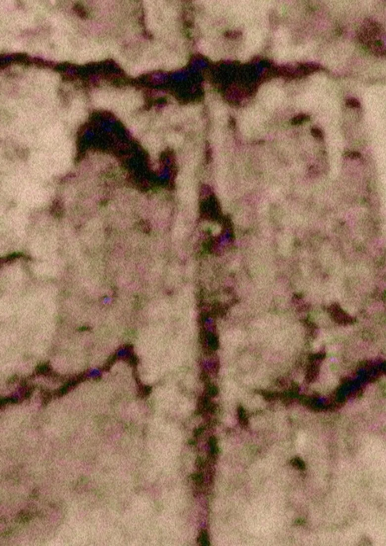 Ruido; Rauca poster background