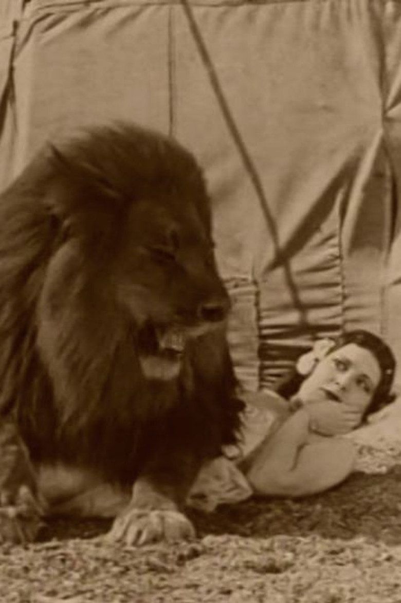 Circus Today poster background